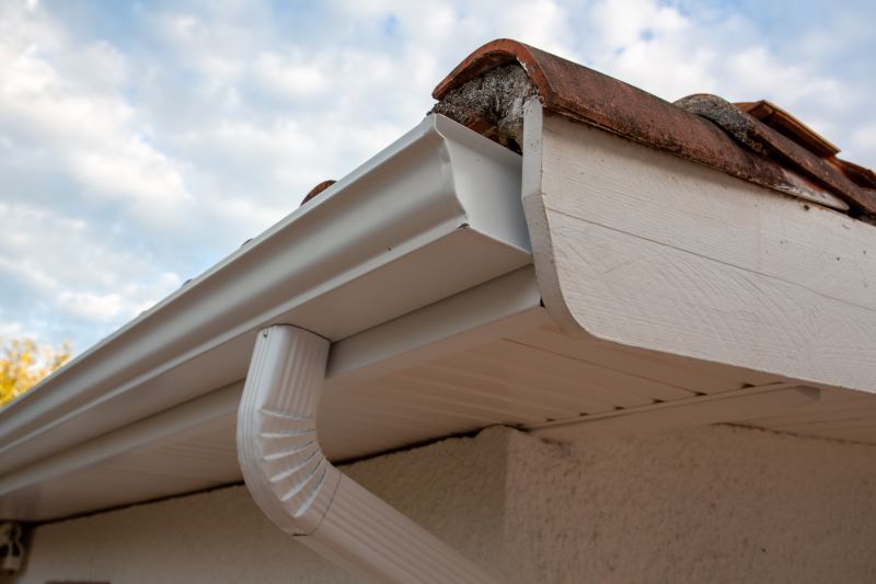 Gutter Cover System on Roof