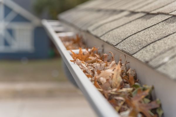 Leaf Barrier Installation in Colorado Springs